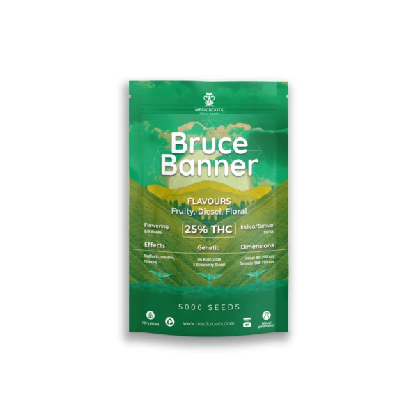 Bruce Banner - Imagen 2