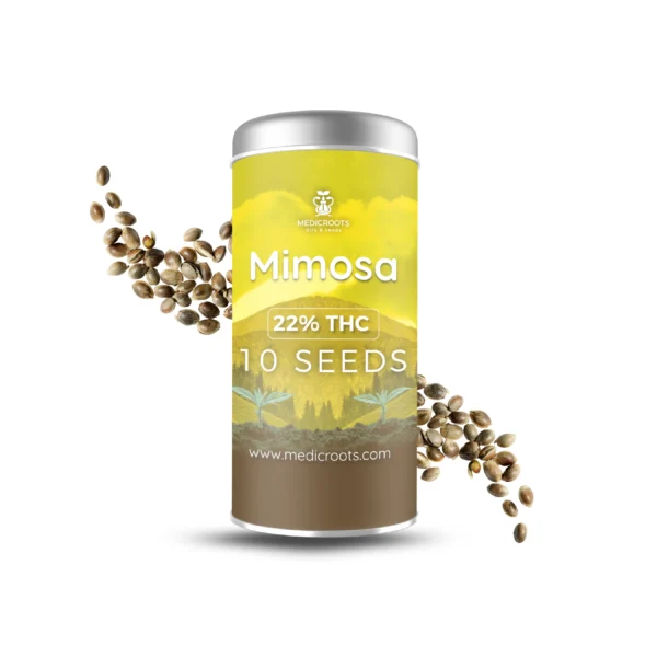 Mimosa - Imagen 3