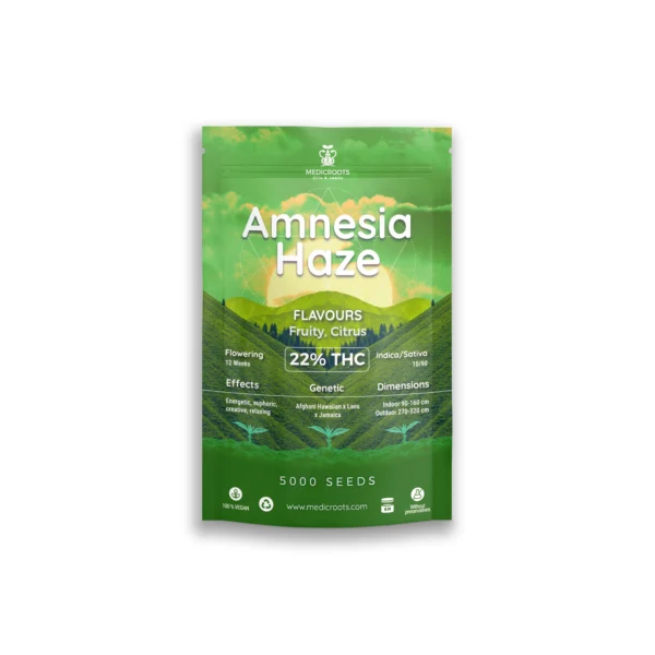 Amnesia Haze - Imagen 3