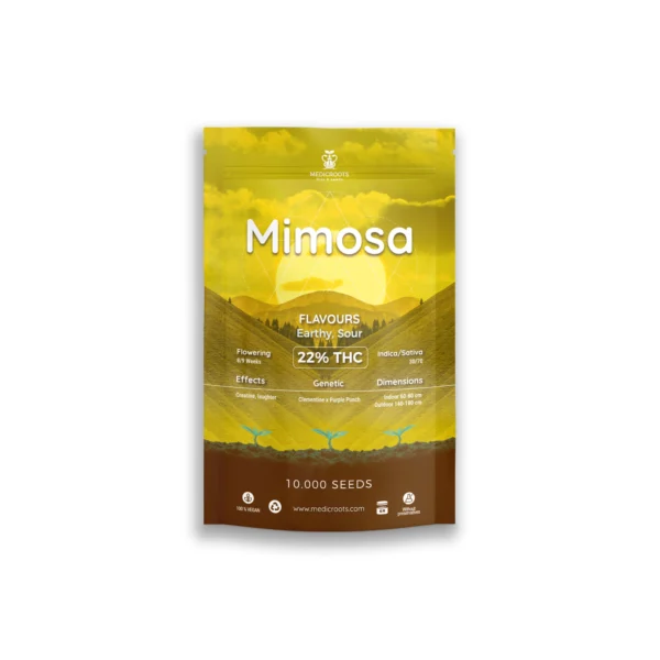 Mimosa - Imagen 4