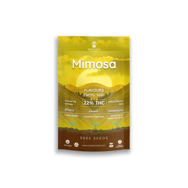 Mimosa - Imagen 2